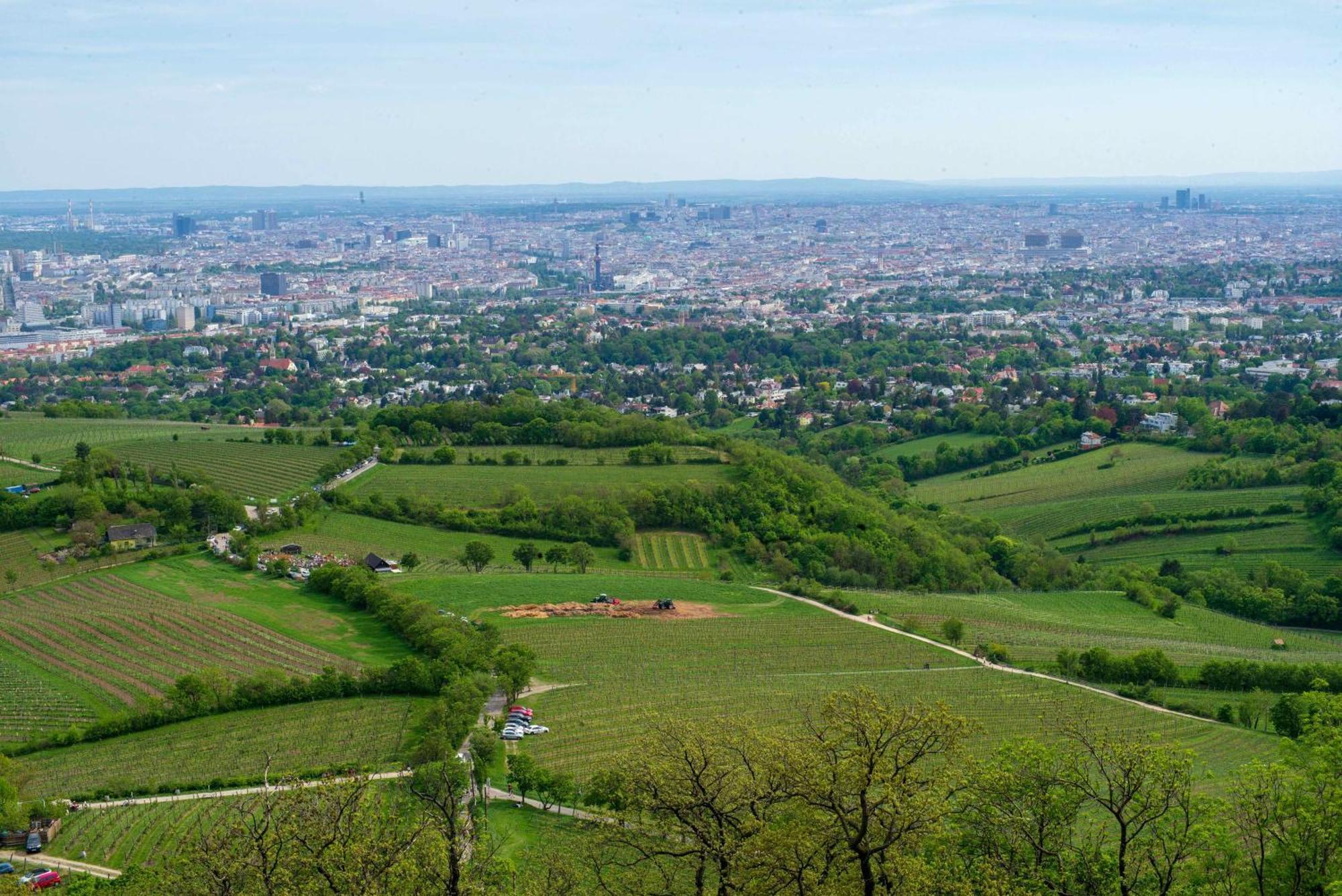 Herrlicher Ausblick Ueber Appartamento Vienna